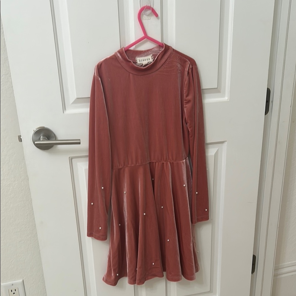 Btween Brown Fit and Flare Long Sleeve Dress never worn without tags